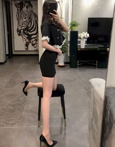拉布拉多动画片全集在线观看