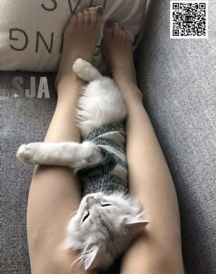 大胸隔壁女孩
