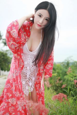 《可可西里的美丽传说》