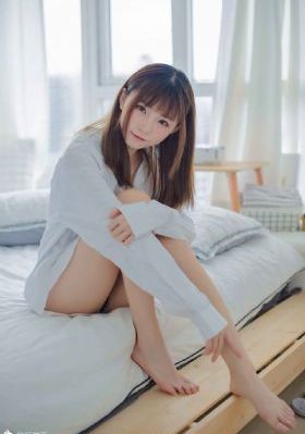 秘密入侵第一季