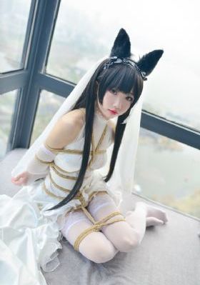 颜心记电视剧