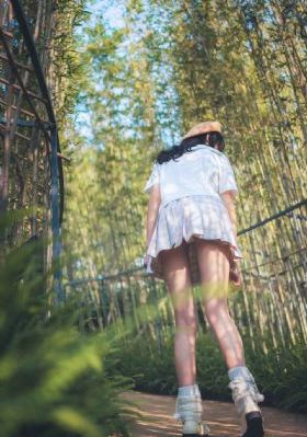 少年歌行免费